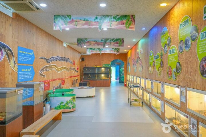 영암_영암곤충박물관 (3)