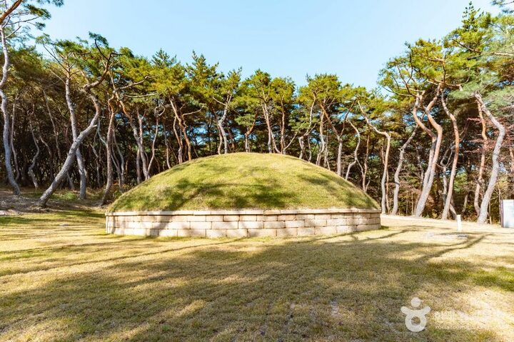 경주_경주 헌강왕릉 (2)