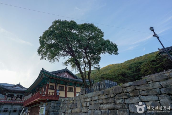 경남_창원_의림사 삼층석탑 (1)