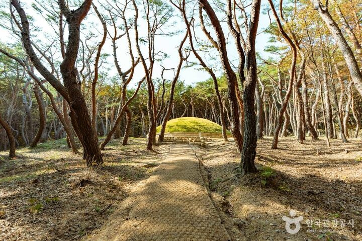 경주_경주 헌강왕릉 (5)