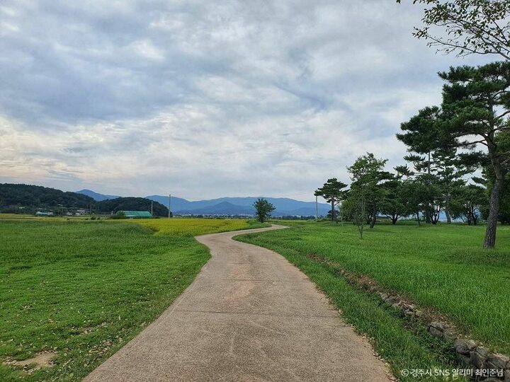 경주_경주 낭산 일원 (4)