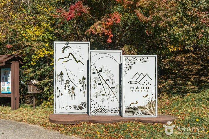 봉화_봉화 대현리 열목어 서식지 (7)