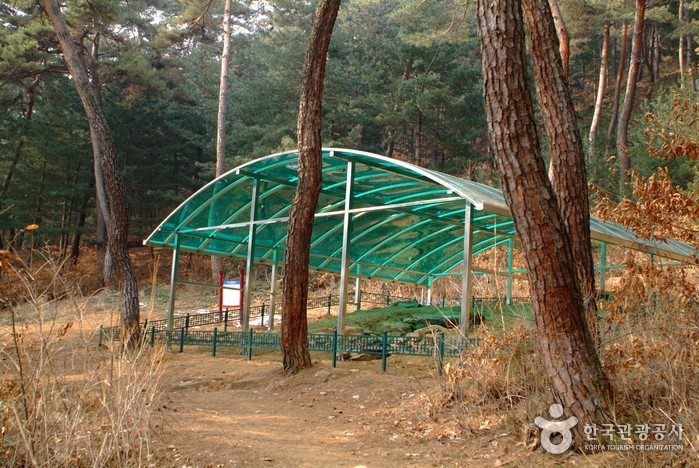 방동리고구려고분_01