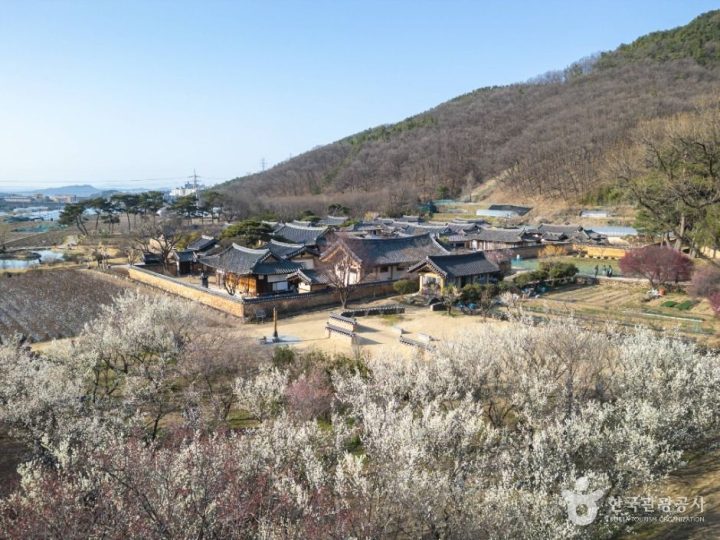 달성_남평문씨본리세거지 (2)