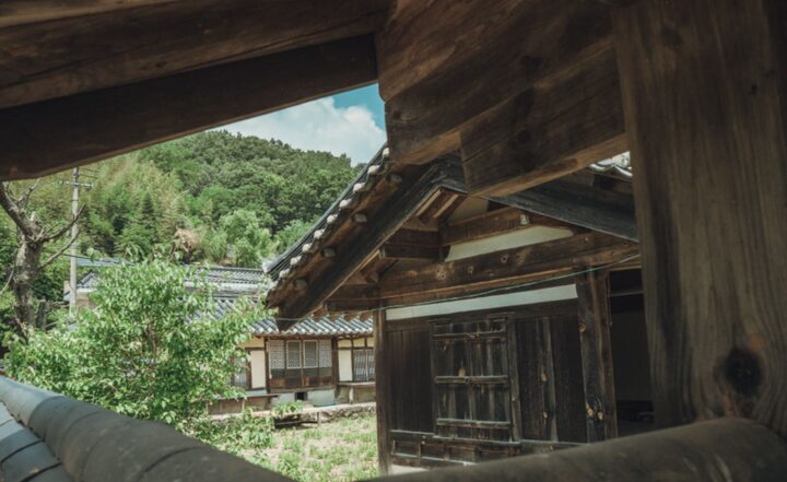 심산 김창숙 생가 (4)