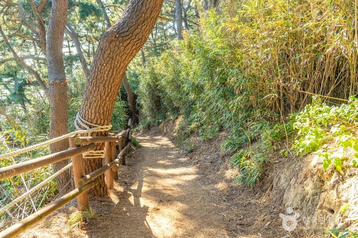 울진_죽변등대 (5)