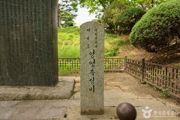 영영축성비 (6)