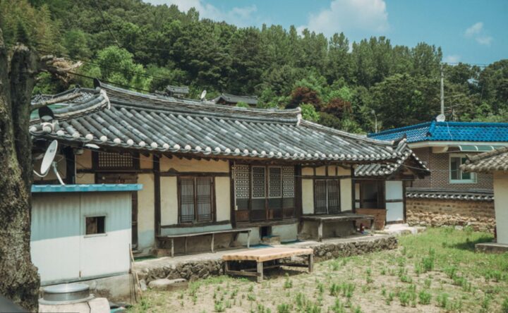심산 김창숙 생가 (5)