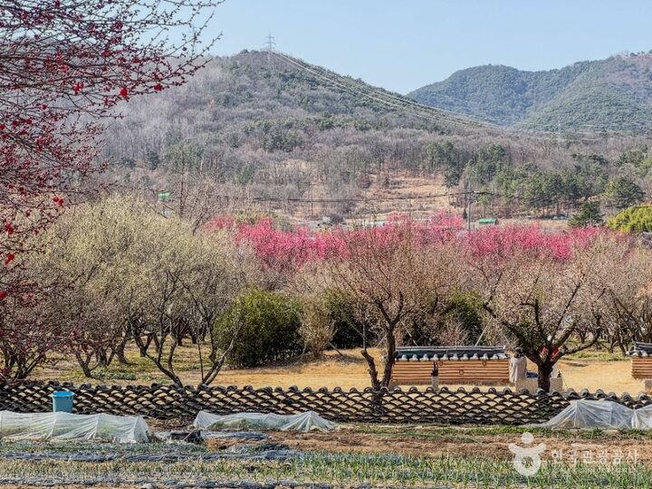 달성_남평문씨본리세거지 (4)