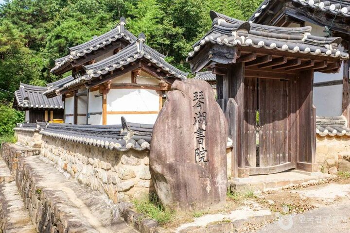 청도_금호서원 (3)