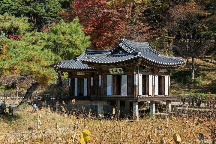 강릉_강릉 선교장 (3)