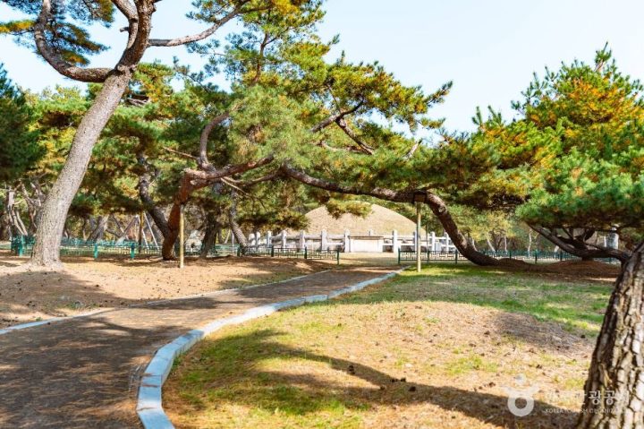 경주_경주 성덕왕릉 (2)