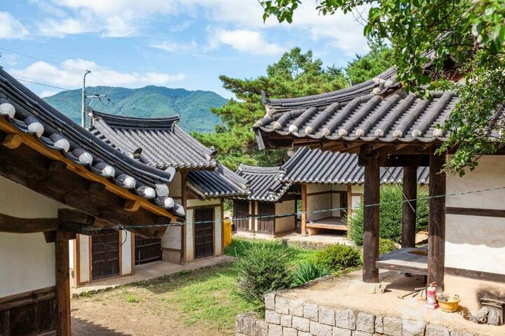 청도_금호서원 (4)