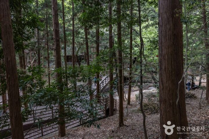 부산_성지곡수원지 (4)