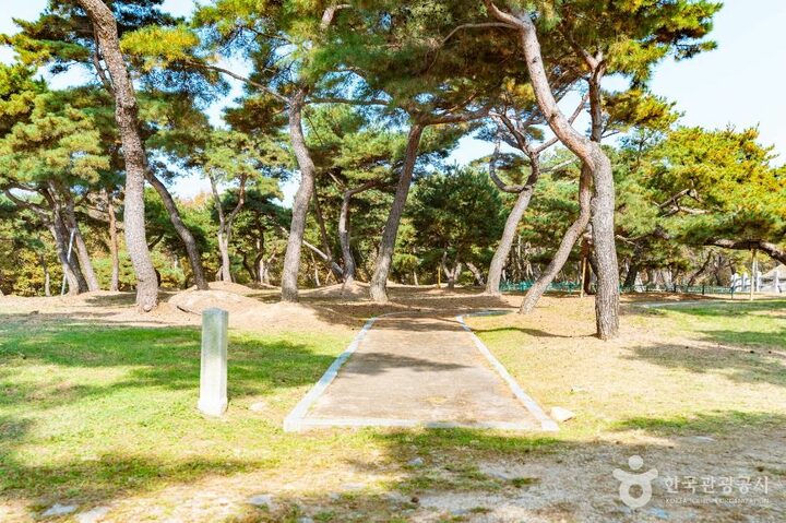 경주_경주 성덕왕릉 (1)