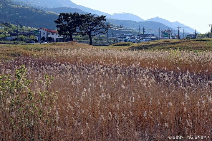 고성_내산리 고분군 (6)