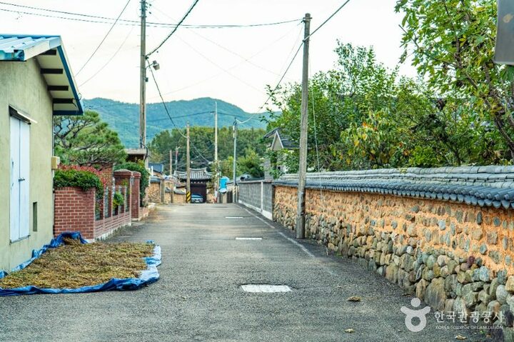 산청_산청 단계마을 옛 담장 (6)