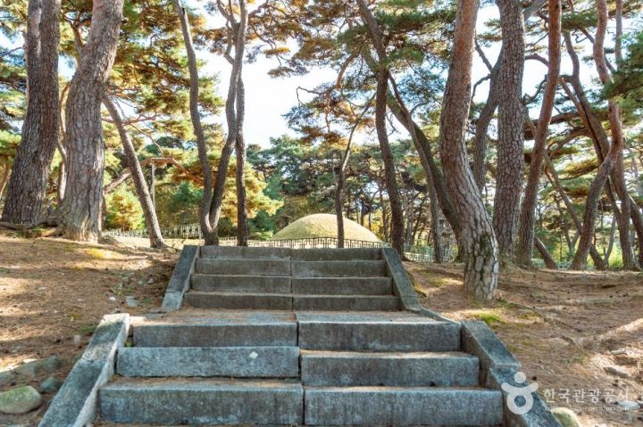 경주_경주 지마왕릉 (1)