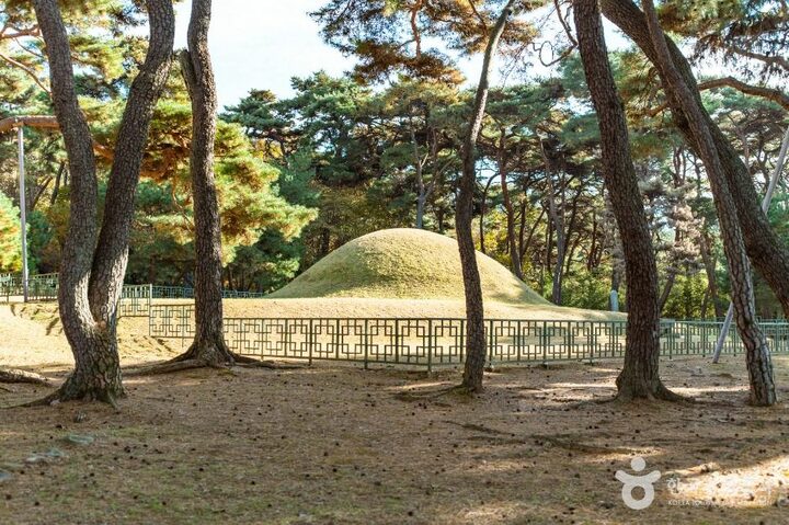 경주_경주 지마왕릉 (2)