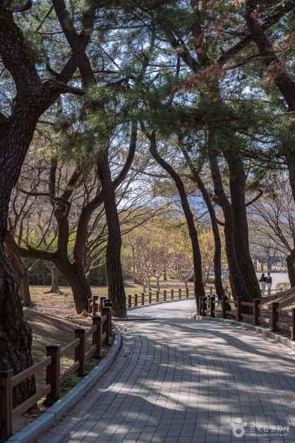 경북_경주_경주 대릉원 일원_외부_6.jpg