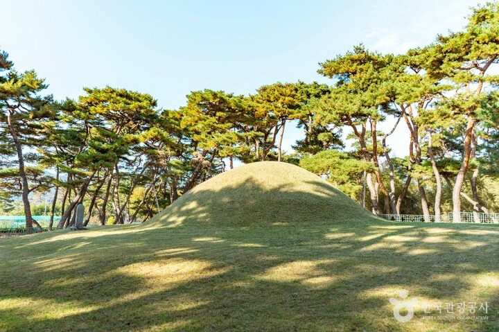 경주_경주 지마왕릉 (5)