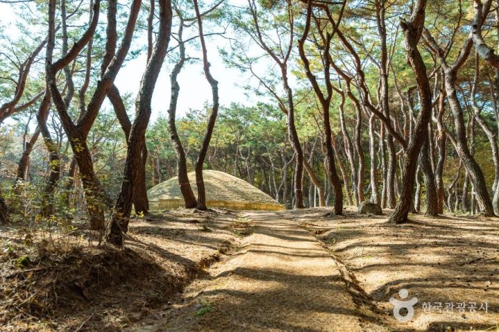 경주_경주 정강왕릉 (2)