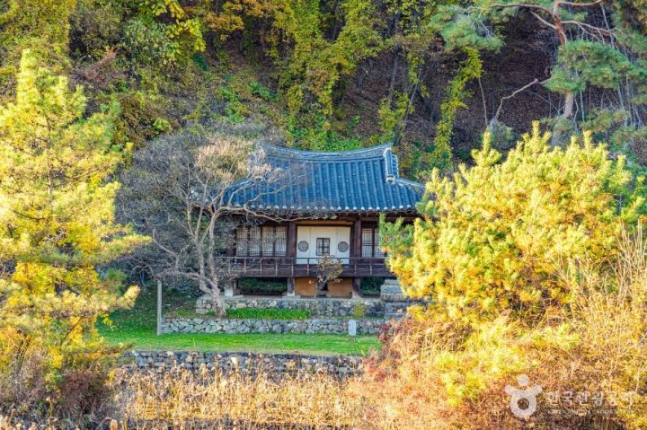 안동_체화정 (2)