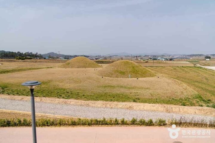 전남_나주_국립나주박물관_외부_2.jpg