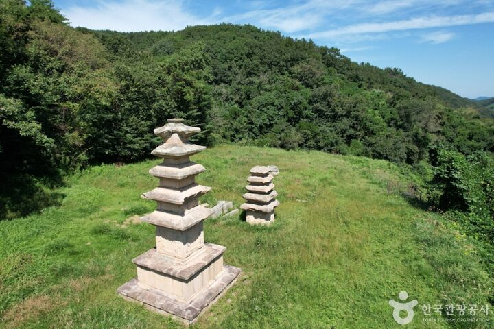 경북_경주_경주 장항리 서 오층석탑 (2)