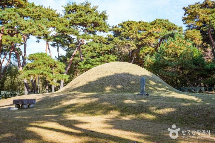 경주_경주 지마왕릉 (4)