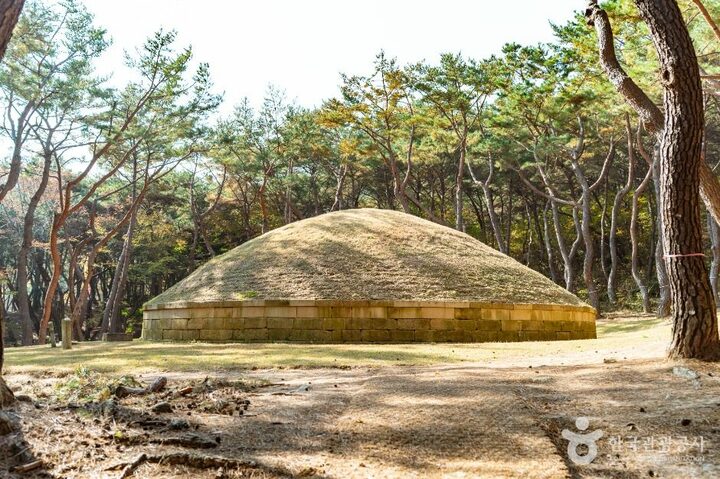 경주_경주 정강왕릉 (3)