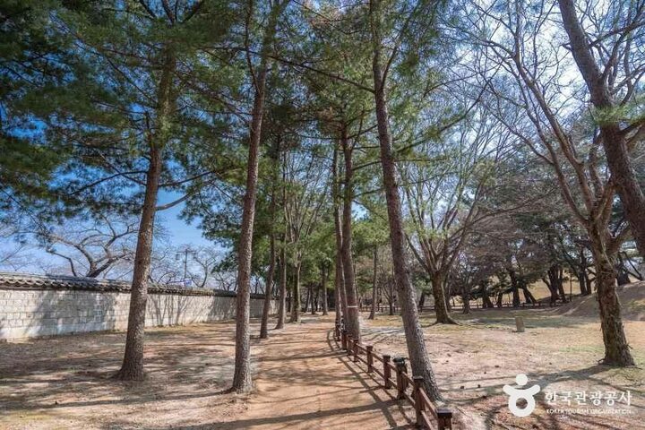 경북_경주_경주 대릉원 일원_외부_5.jpg