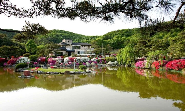 김포_다도박물관 (3)