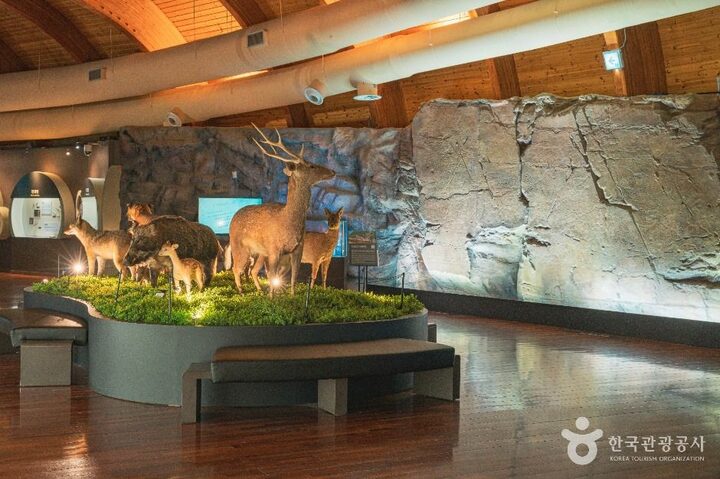 울산_울산암각화박물관 (4)