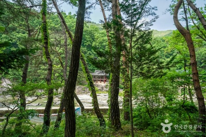 거창_거창 건계정 (2)
