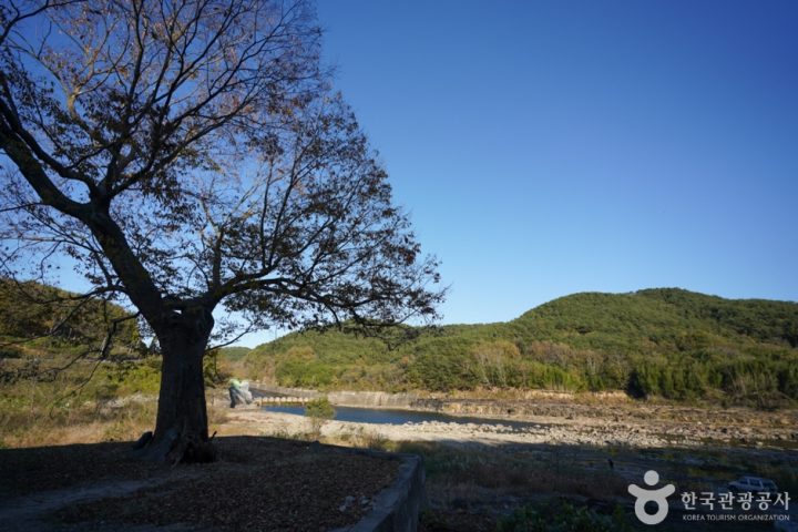 경남_진주_진주 유수리 백악기화석 산지 (1)