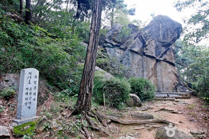 대전 보문산마애여래좌상 (11)
