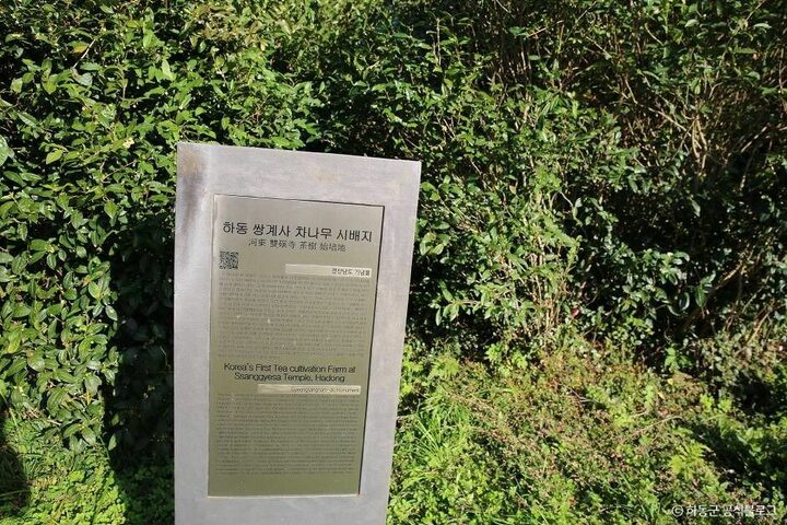 하동_쌍계사차나무시배지 (3)