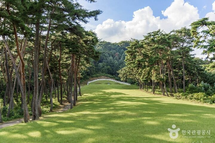 춘천_신장절공묘역 (6)