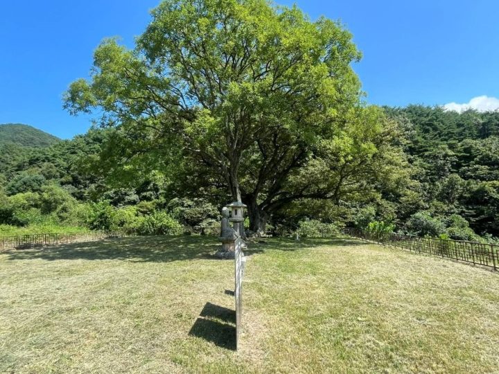 합천_합천 백암리 석등 (7)