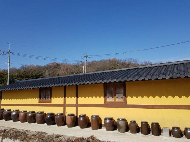 안동_명인안동소주 (3)