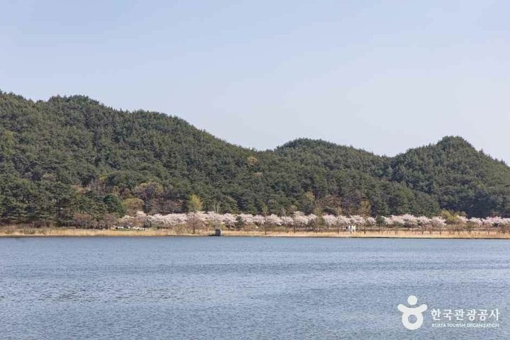 강원_고성_화진포_외부_3.jpg