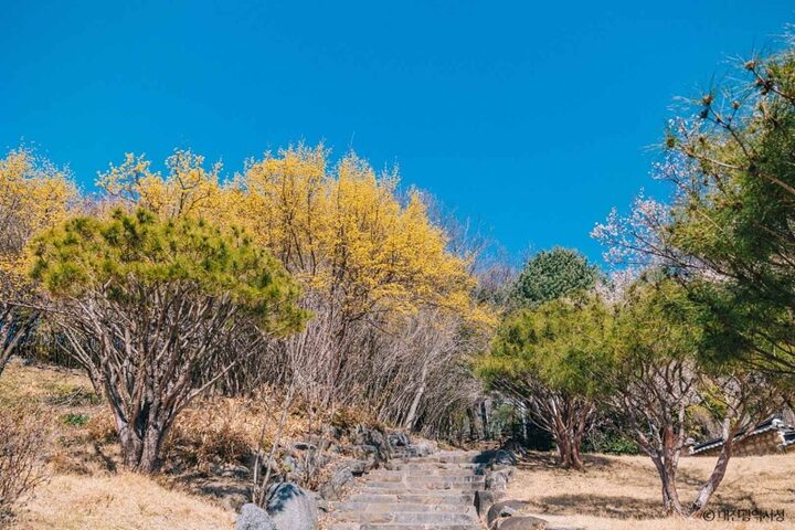 대전 회덕 동춘당 (12)