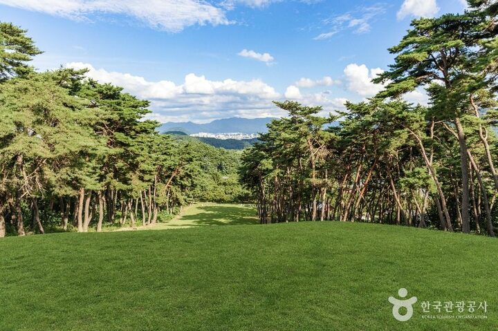 춘천_신장절공묘역 (7)