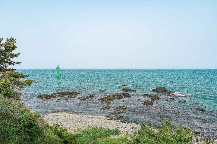 경주_경주 양남 주상절리군 (1).jpg