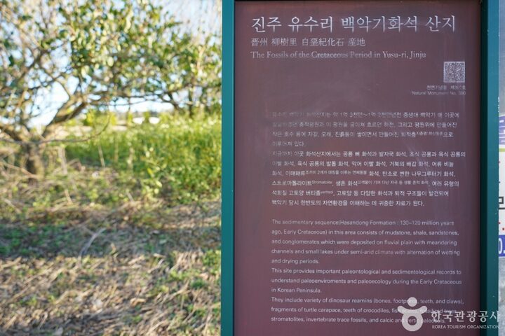 경남_진주_진주 유수리 백악기화석 산지 (3)