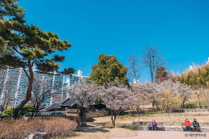 대전 회덕 동춘당 (13)