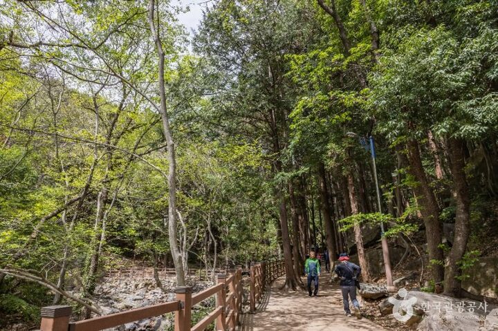 부산_성지곡수원지 (7)