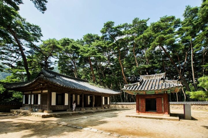 청령포_2