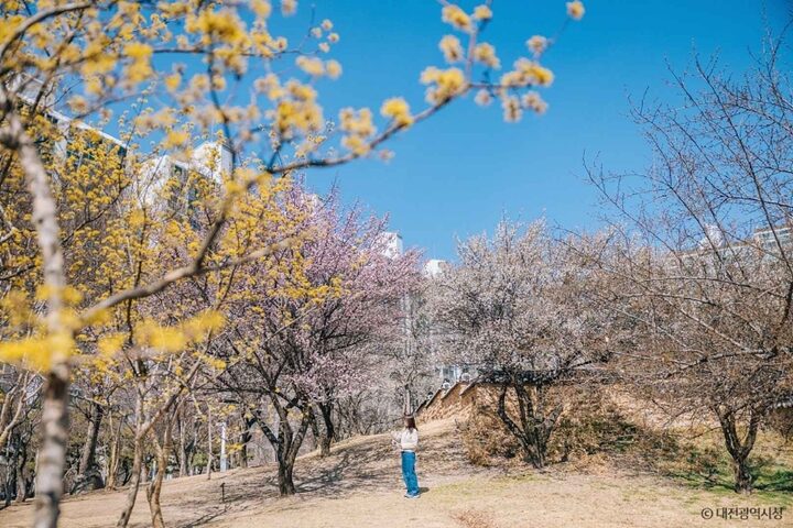 대전 회덕 동춘당 (14)